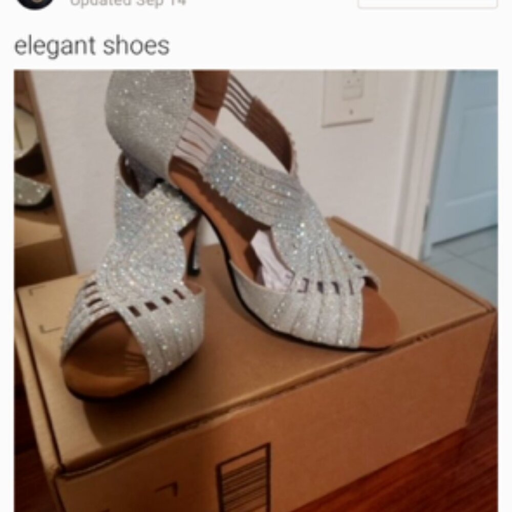 silver elegant shoes